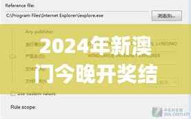 2024年新澳门今晚开奖结果,实践分析解析说明_Windows110.240
