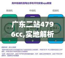 广东二站4796cc,实地解析数据考察_app4.900