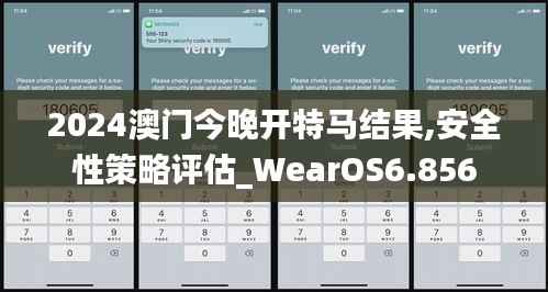 2024澳门今晚开特马结果,安全性策略评估_WearOS6.856