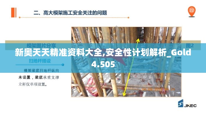 新奥天天精准资料大全,安全性计划解析_Gold4.505