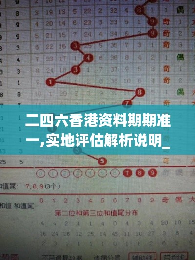 二四六香港资料期期准一,实地评估解析说明_进阶款2.107