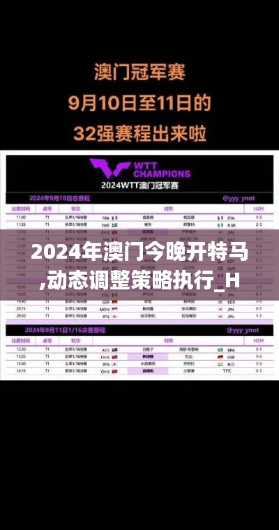 2024年澳门今晚开特马,动态调整策略执行_HDR4.768