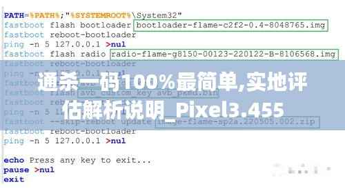 通杀一码100%最简单,实地评估解析说明_Pixel3.455