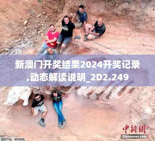 新澳门开奖结果2024开奖记录,动态解读说明_2D2.249