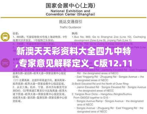 新澳天天彩资料大全四九中特,专家意见解释定义_C版12.110