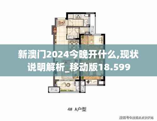 新澳门2024今晚开什么,现状说明解析_移动版18.599