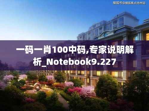 一码一肖100中码,专家说明解析_Notebook9.227
