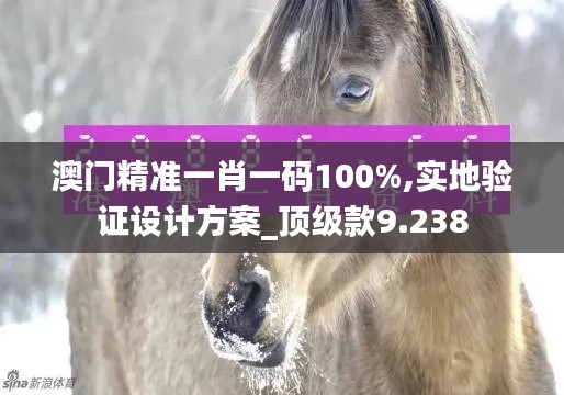 澳门精准一肖一码100%,实地验证设计方案_顶级款9.238