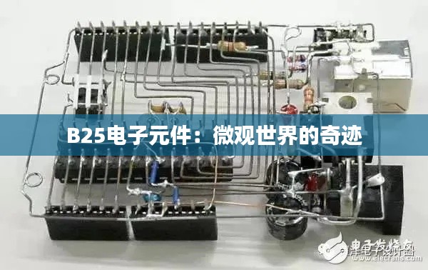 B25电子元件：微观世界的奇迹
