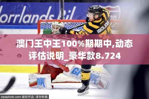 澳门王中王100%期期中,动态评估说明_豪华款8.724