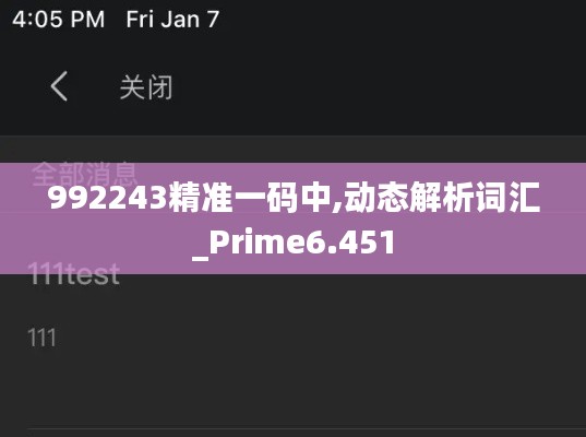 992243精准一码中,动态解析词汇_Prime6.451