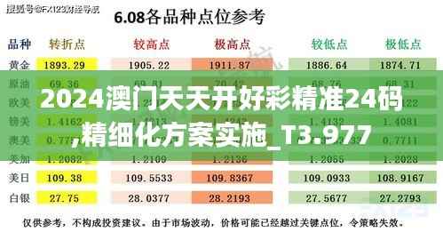 2024澳门天天开好彩精准24码,精细化方案实施_T3.977