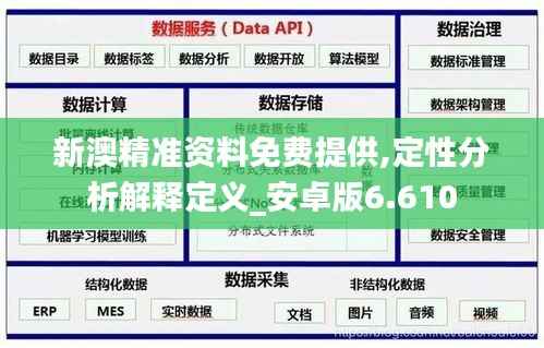 新澳精准资料免费提供,定性分析解释定义_安卓版6.610