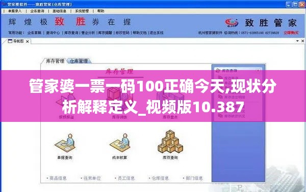 管家婆一票一码100正确今天,现状分析解释定义_视频版10.387