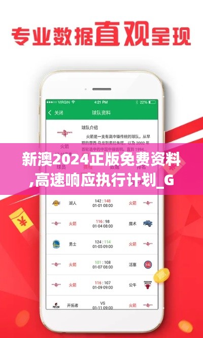 新澳2024正版免费资料,高速响应执行计划_GM版9.125