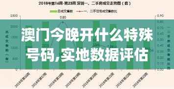 澳门今晚开什么特殊号码,实地数据评估解析_BT9.552
