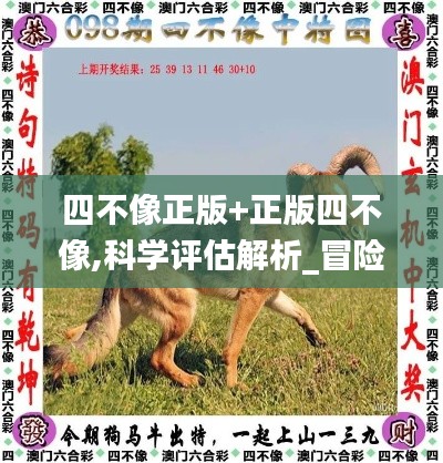 空前绝后 第6页