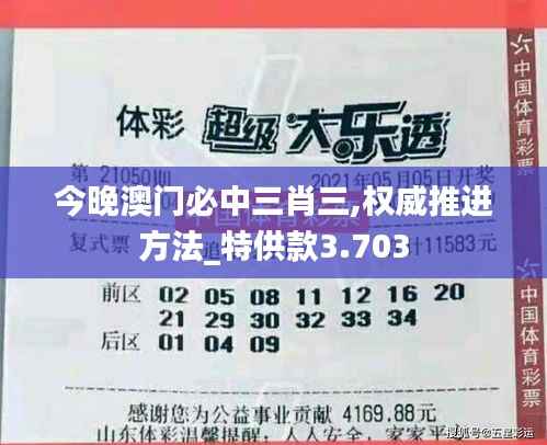 今晚澳门必中三肖三,权威推进方法_特供款3.703