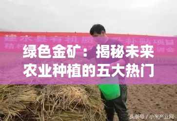 绿色金矿：揭秘未来农业种植的五大热门项目
