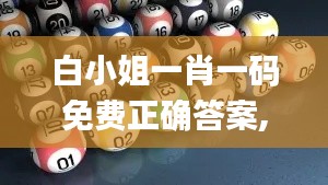 白小姐一肖一码免费正确答案,快捷问题计划设计_MT8.191