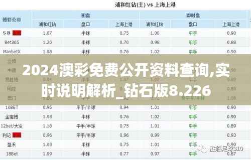 2024澳彩免费公开资料查询,实时说明解析_钻石版8.226