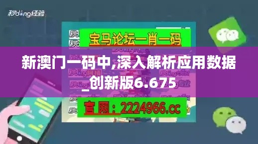 新澳门一码中,深入解析应用数据_创新版6.675