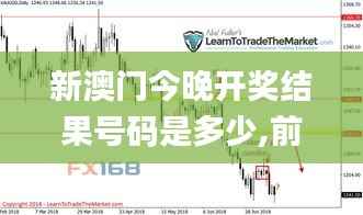 新澳门今晚开奖结果号码是多少,前瞻性战略定义探讨_创意版6.954