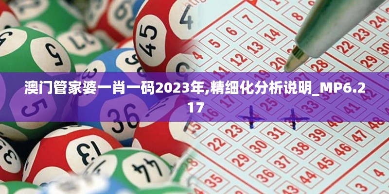 澳门管家婆一肖一码2023年,精细化分析说明_MP6.217