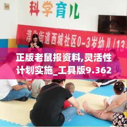 正版老鼠报资料,灵活性计划实施_工具版9.362