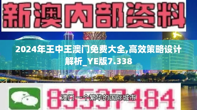 2024年王中王澳门免费大全,高效策略设计解析_YE版7.338