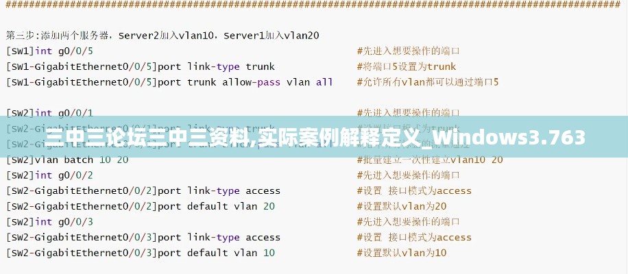 三中三论坛三中三资料,实际案例解释定义_Windows3.763