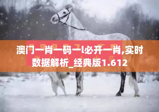 澳门一肖一码一l必开一肖,实时数据解析_经典版1.612