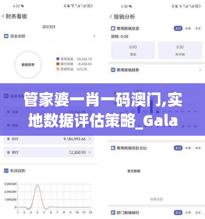 管家婆一肖一码澳门,实地数据评估策略_Galaxy2.749