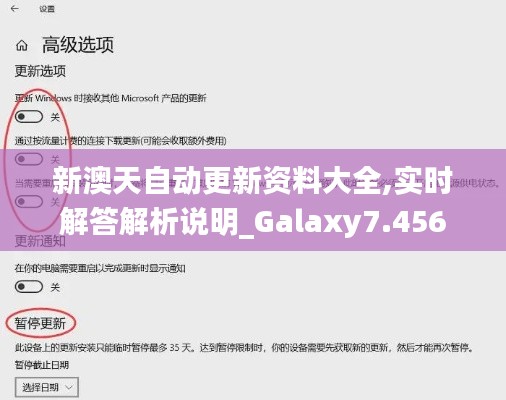 新澳天自动更新资料大全,实时解答解析说明_Galaxy7.456