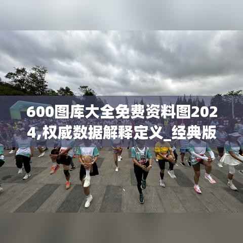 600图库大全免费资料图2024,权威数据解释定义_经典版6.981