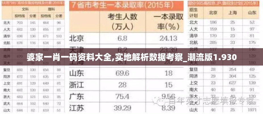 婆家一肖一码资料大全,实地解析数据考察_潮流版1.930