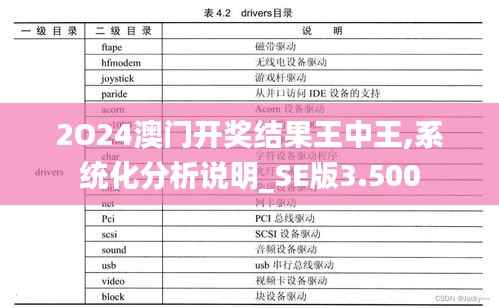 2O24澳门开奖结果王中王,系统化分析说明_SE版3.500