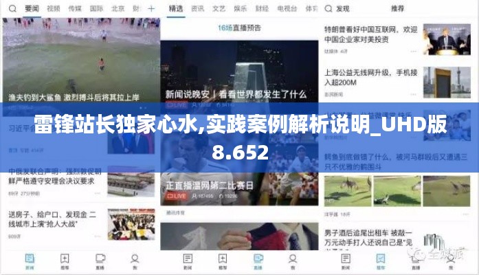 雷锋站长独家心水,实践案例解析说明_UHD版8.652