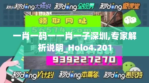 一肖一码一一肖一子深圳,专家解析说明_Holo4.201