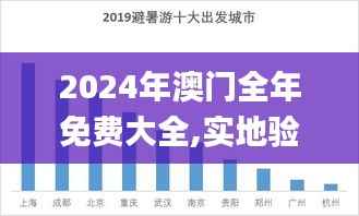 2024年澳门全年免费大全,实地验证执行数据_尊贵款10.539