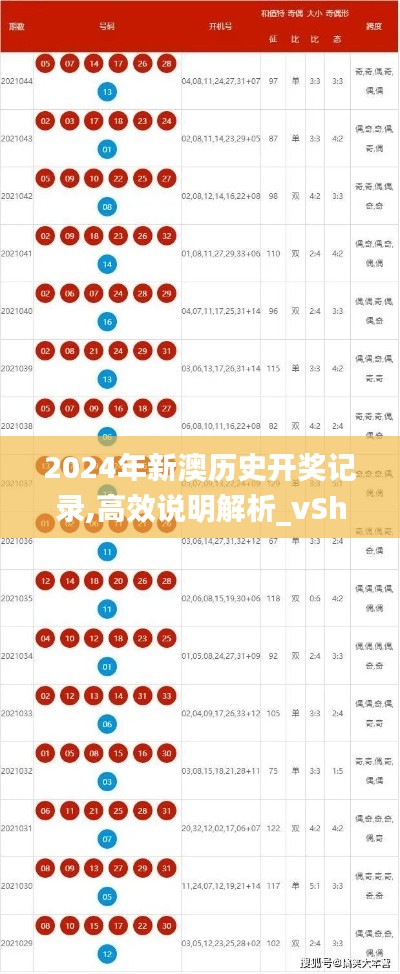 2024年新澳历史开奖记录,高效说明解析_vShop10.196