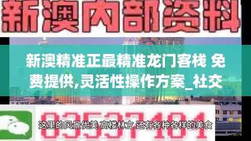 新澳精准正最精准龙门客栈 免费提供,灵活性操作方案_社交版9.740
