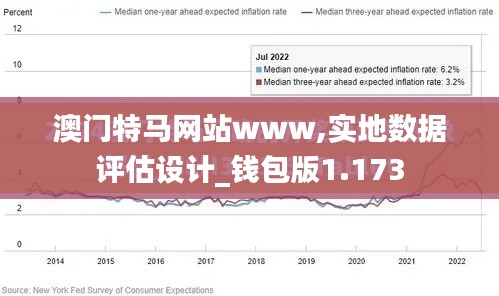 澳门特马网站www,实地数据评估设计_钱包版1.173