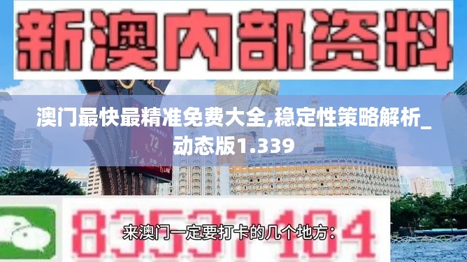 澳门最快最精准免费大全,稳定性策略解析_动态版1.339