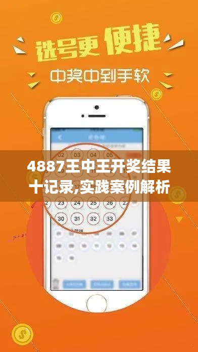 4887王中王开奖结果十记录,实践案例解析说明_旗舰款9.251