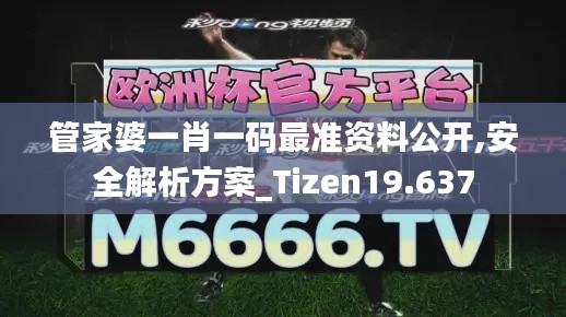 管家婆一肖一码最准资料公开,安全解析方案_Tizen19.637