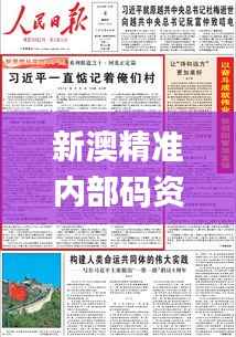 新澳精准内部码资料期期准,实践分析解释定义_Harmony款1.427