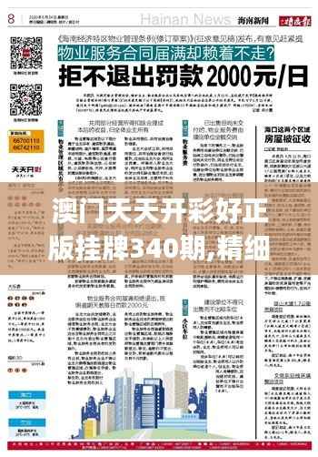 澳门天天开彩好正版挂牌340期,精细化计划执行_入门版3.616