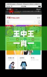 王中王一肖一特一中一,创新性计划解析_网页款2.689