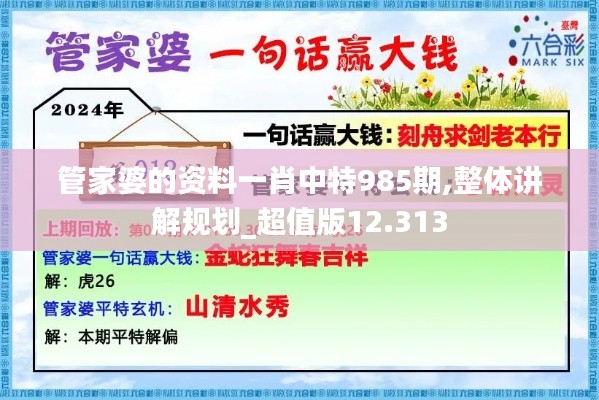 管家婆的资料一肖中特985期,整体讲解规划_超值版12.313